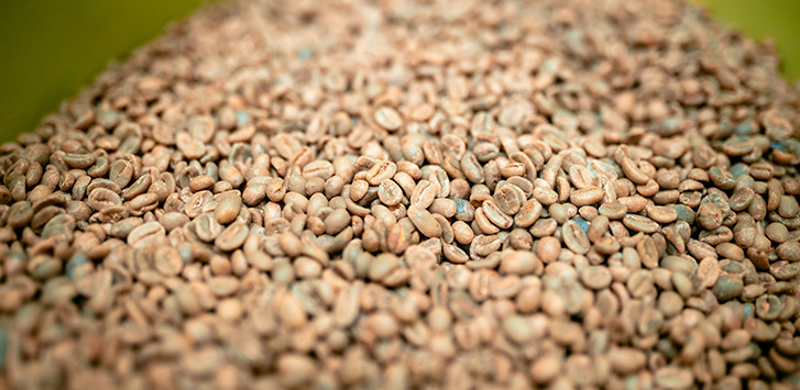 Step-by-Step Guide to Roasting New Coffee Beans